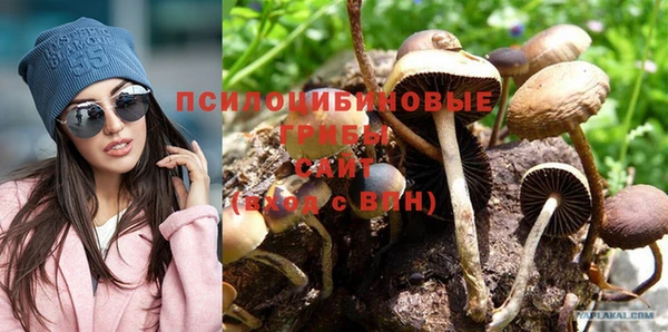 тгк Алзамай
