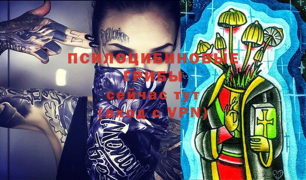 тгк Алзамай