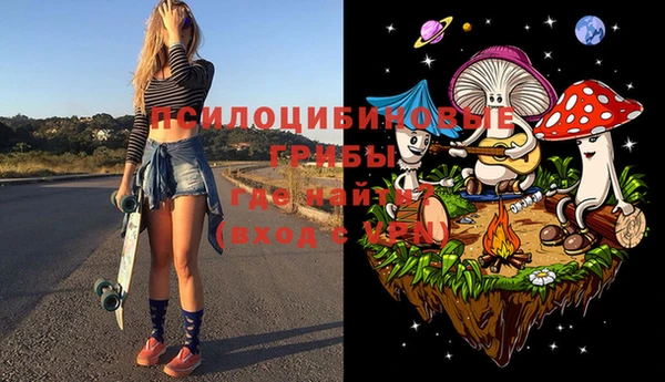 тгк Алзамай