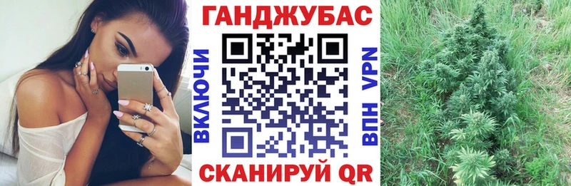 Конопля план  закладка  мега зеркало  Ноябрьск 